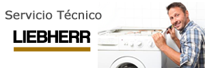 servicio tecnico LIEBHERR